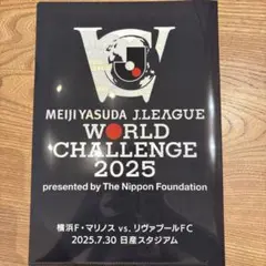 J.LEAGUE WORLD CHALLENGE リバプール　クリアファイル