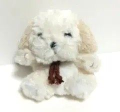 ジョイフルメイト　犬　ぬいぐるみ たけのこ ぬいぐるみ 犬 セントバーナード TAKENOKO JOYFUL