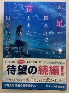 あの星が降る丘で、君とまた出会いたい。