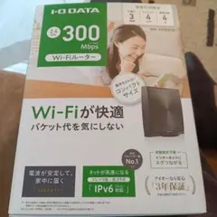 I-O DATA 無線LANルーター WN-XS300FR