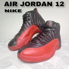 NIKE AIRJORDAN 12 エアジョーダン FIu game 28.0