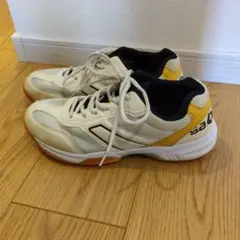 室内シューズ　26