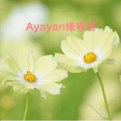Ayayan様専用