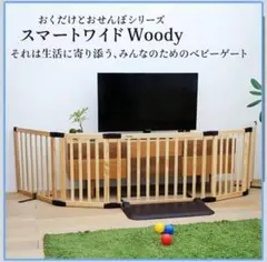 Item thumbnail for item a4fa1b8d-8d68-4666-93a6-2a73187f063d