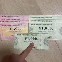 ビックカメラ コジマ 優待券 8000円分