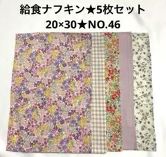 給食ナフキン★5枚セット★20×30★NO.46