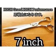 Item thumbnail for item fbd5ebf0-d08a-4762-876e-1aa5e599e83b