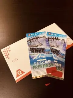 富士急ハイランド フリーパスチケット2枚セット