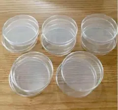 プラスチック製円形容器 5個セット