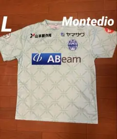 Item thumbnail for item f0aeb9aa-80d2-4c6a-ad9b-8b2f45ac4322