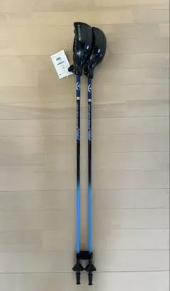 オガサカ　スキーストック