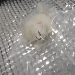 ガチャガチャ白亜紀の猫　猫又蚊遣り器（白）カプセルなし