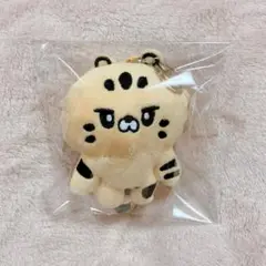 LE SSERAFIM ルセラフィム キーホルダー FIMSCLUB チェウォン