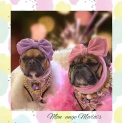 犬服 犬ターバン フレンチブルドック パグ ボストンテリア