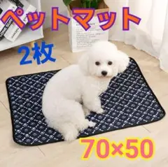 Item thumbnail for item 102b87a1-94d3-40f5-abfe-68979003b1f8