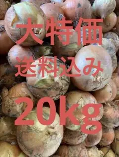 北海道産 玉ねぎ 外品 20kg