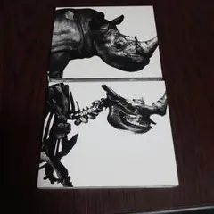 ミスター・チルドレンのベストアルバムCD2枚組です。