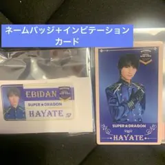 エビライスパドラらHAYATEバッジ＋カードセット