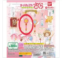 星の杖 めじるしアクセサリー2
