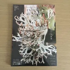 【新品・未開封】インドアジャングル No.02 4月号増刊　ビカクシダ特集 61hsU4zYsxL._UF350,350_QL50_.jpg