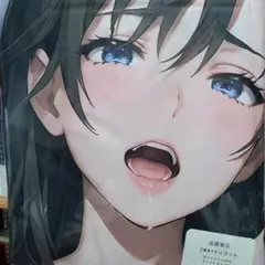おりきゃら　静　抱き枕カバー　シークレット