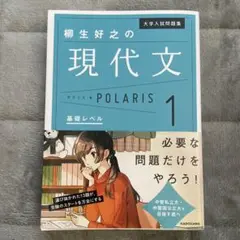 現代文ポラリス 1 柳生好之 KADOKAWA