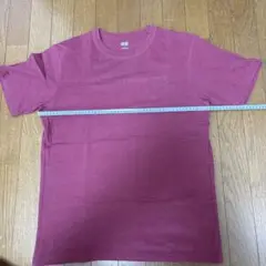 ユニクロ　クルーネックT Lサイズ