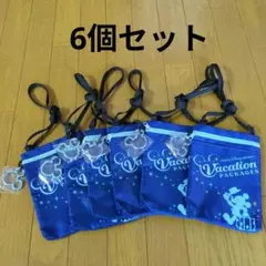 ディズニー　バケーションパッケージ　ショルダーバッグ6個セット