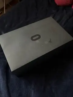 Oculus Quest 本体とコントローラー