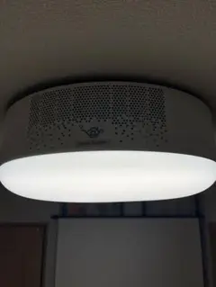 Item thumbnail for item 2c0d5f62-9c5c-495a-9e02-10f6501be5d0