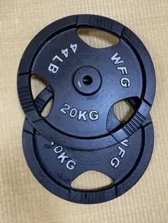 WFG ワイルドフィット アイアンプレート 穴径28mm 10kg 2個 レギュラー プレート | ダンベル バーベル プレート 筋トレ