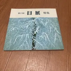 1985年　第17回日展特集
