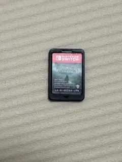 Hogwarts Legacy Nintendo Switch