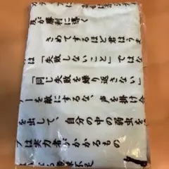 全国大会ソフトテニス　限定タオル