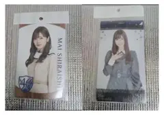 Item thumbnail for item 55b48812-5941-4d76-83e0-ff49eb9b1d20