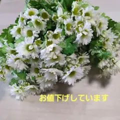 Item thumbnail for item 1995b032-a787-474d-9689-e854cc93b7e6