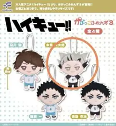 【新品未使用】ハイキュー!!かぷっこふれんず3 木兎光太郎【匿名配送】