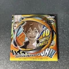 ハイキュー　ファンパーク　コレクション 缶バッジ　日向 翔陽