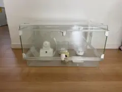 Item thumbnail for item a052a33d-775e-440b-9e7e-5d66544e361a