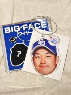 BIG FACE ワイヤーチャーム　山本泰寛