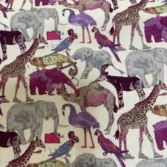 アニマル　ピンク　アフリカ