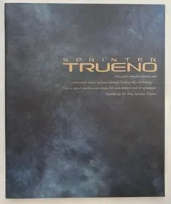 Item thumbnail for item 7ad9c27d-197a-42cb-b5e1-3a1f8b44f1c3