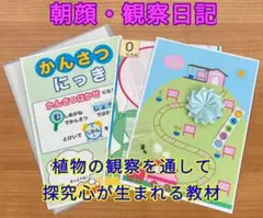 15日までお値下げします　朝顔　観察日記