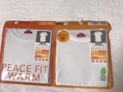 Item thumbnail for item af12580d-659e-4bd8-82ca-e76a1931154b