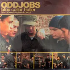 ほぼ新品!! ODDJOBS / blue collar holler