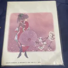 COTTON COLOR みずき健 イラスト集
