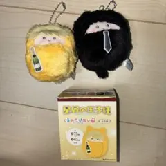 くるみたぴぬい　星屑の王子様　りゅーが　源リキヤ