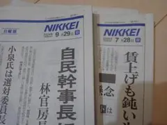 Yamさん専用　日経