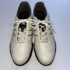 adidas ゴルフシューズ 25㎝