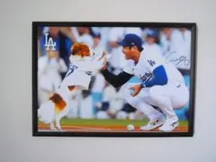 A4 額付き ポスター 大谷翔平 デコピン 始球式 ドジャース 写真
